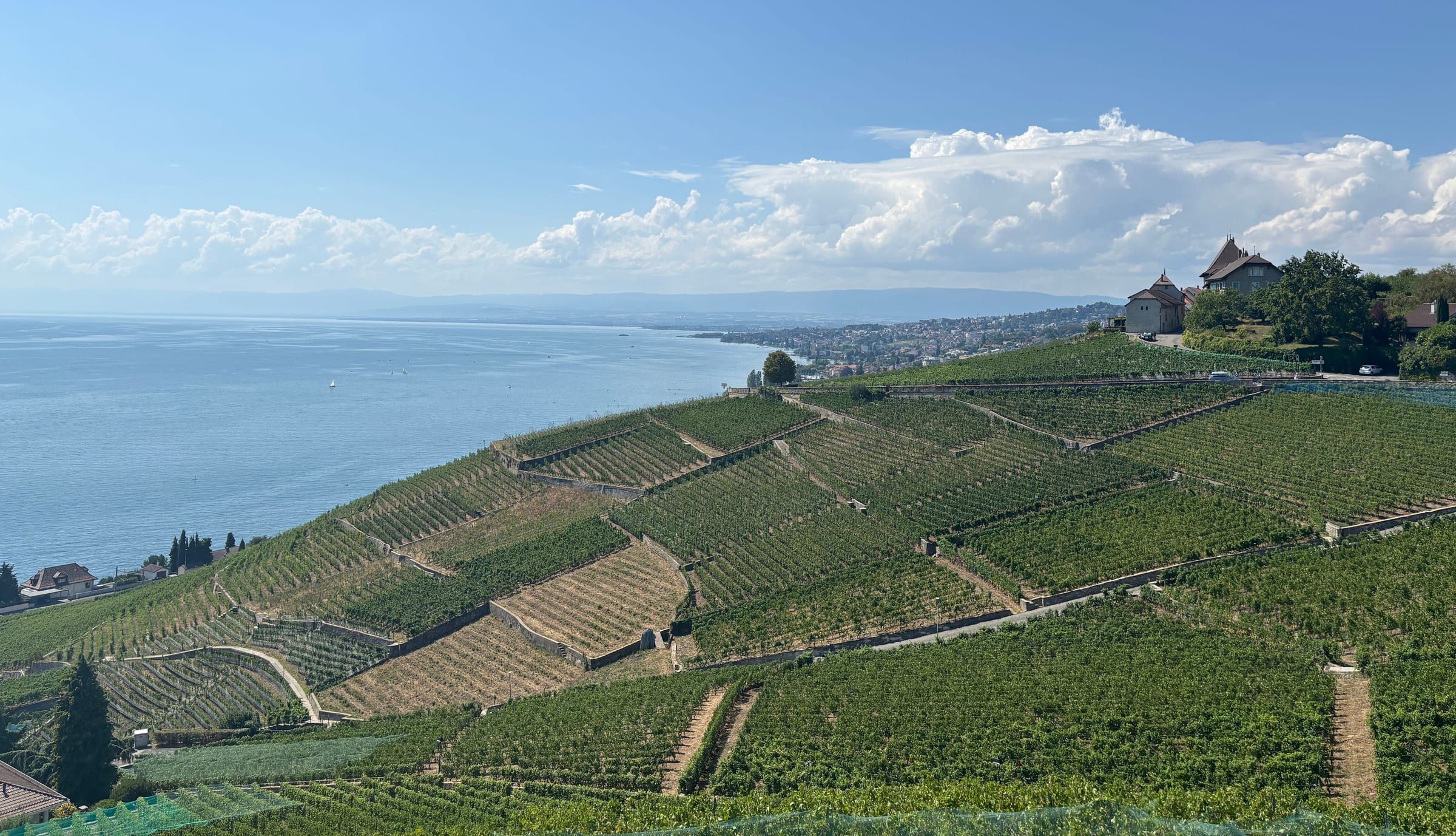 Lavaux vineyard terraces sloping down to Lake Geneva, under a summer sky